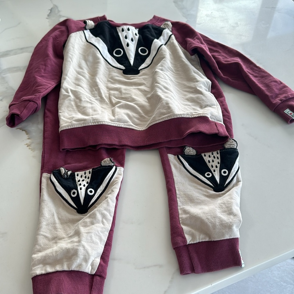 Lilly + Sid Organic Cotton Raccoon Jogger Set 5-6Y | Sweatshirt + Pants | Boys